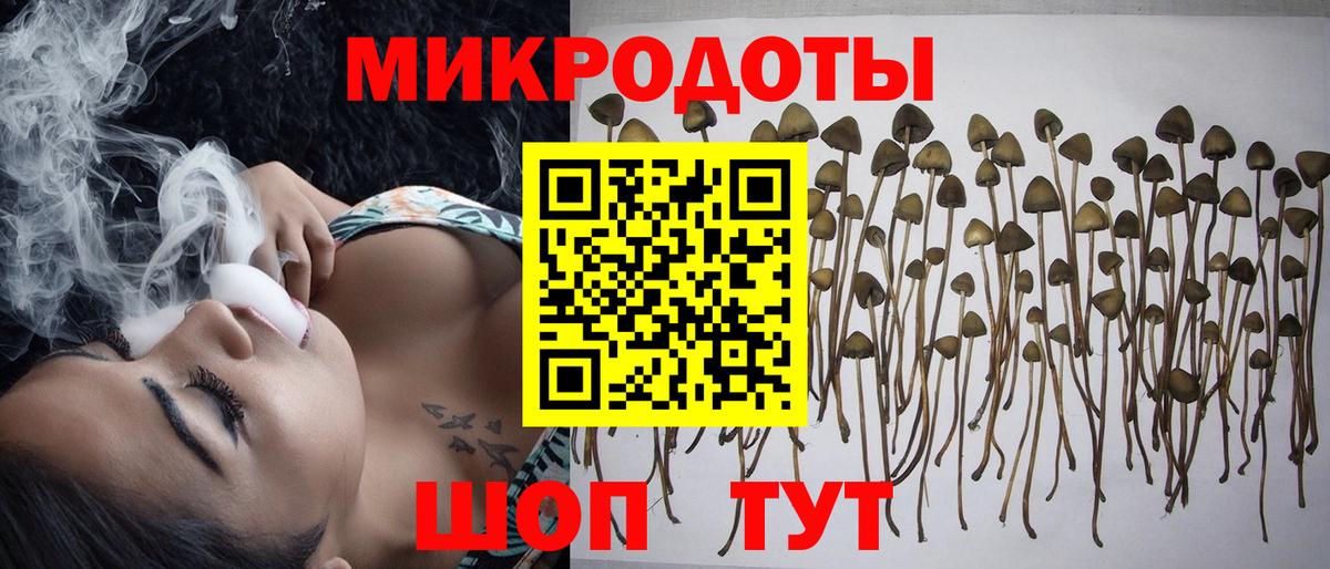 Канск  Галлюциногенные грибы Cubensis  хочу наркоту  Вход с VPN  Галлюциногенные грибы Psilocybine cubensis 