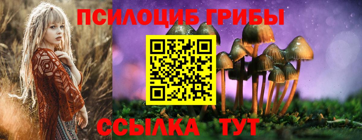 Галлюциногенные грибы Magic Shrooms Канск